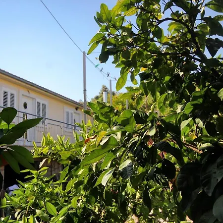 And By The Sea Loviste, Peljesac - 10181 3* לוביסטה